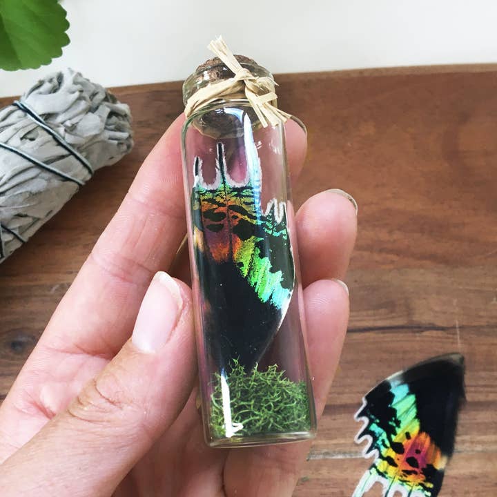 Sort Regnbue - Flasket Vinge for engroshandel hos Anise Designs