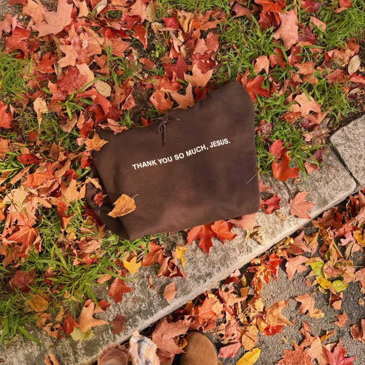 NIEUW | "HEEL ERG BEDANKT JEZUS" HOODIE | DONKER CHOCOLADE voor wholesale door He Would Love First