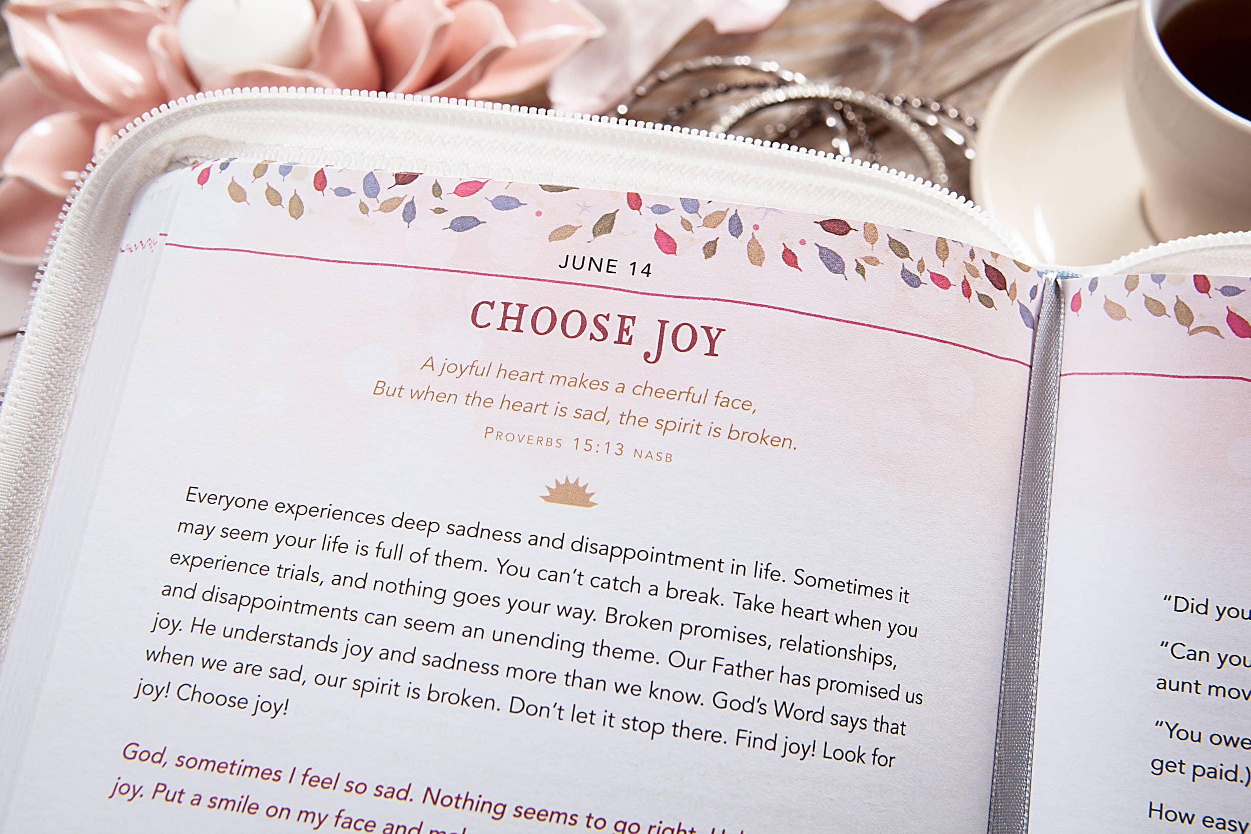 BroadStreet Publishing Group, LLC - Venta al por mayor Religión - Porque yo sé los planes (Devocional de Mañana y Tarde en Zip)3