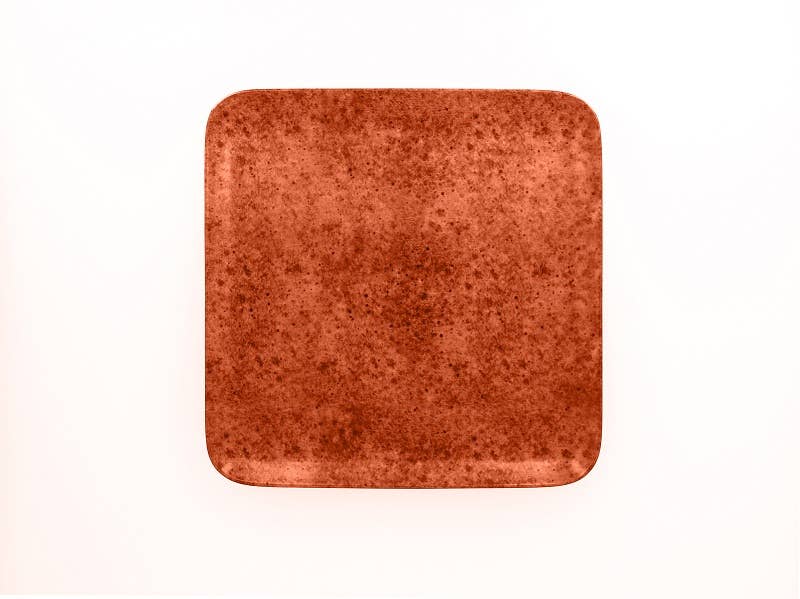 RAK Porcelain USA - Wholesale Dinner Plate - Oxyd Square Plate - 4.35"L0