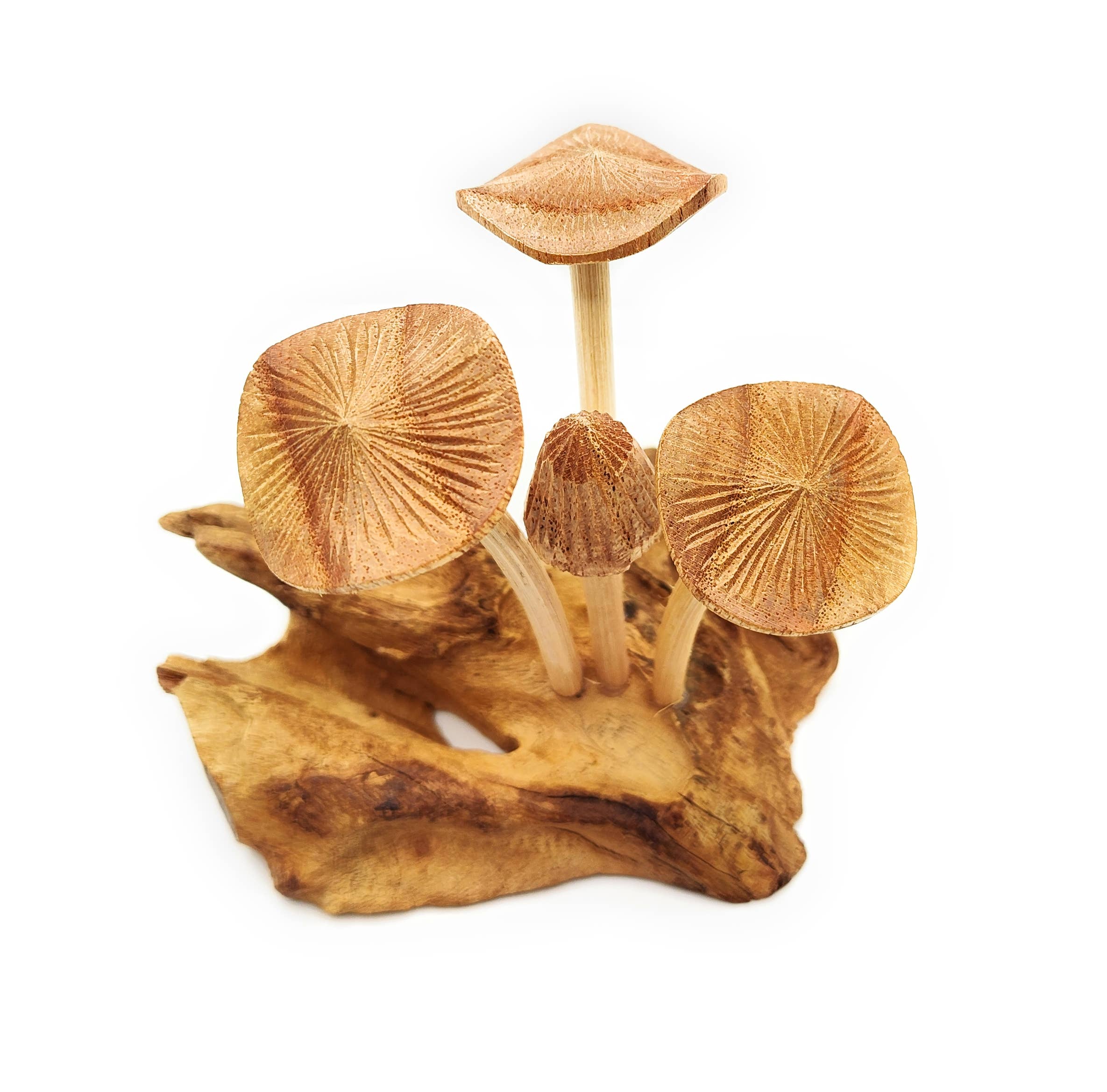 OTOP USA - Wholesale Decorative Tabletop Object - Pleated Mushroom Small1