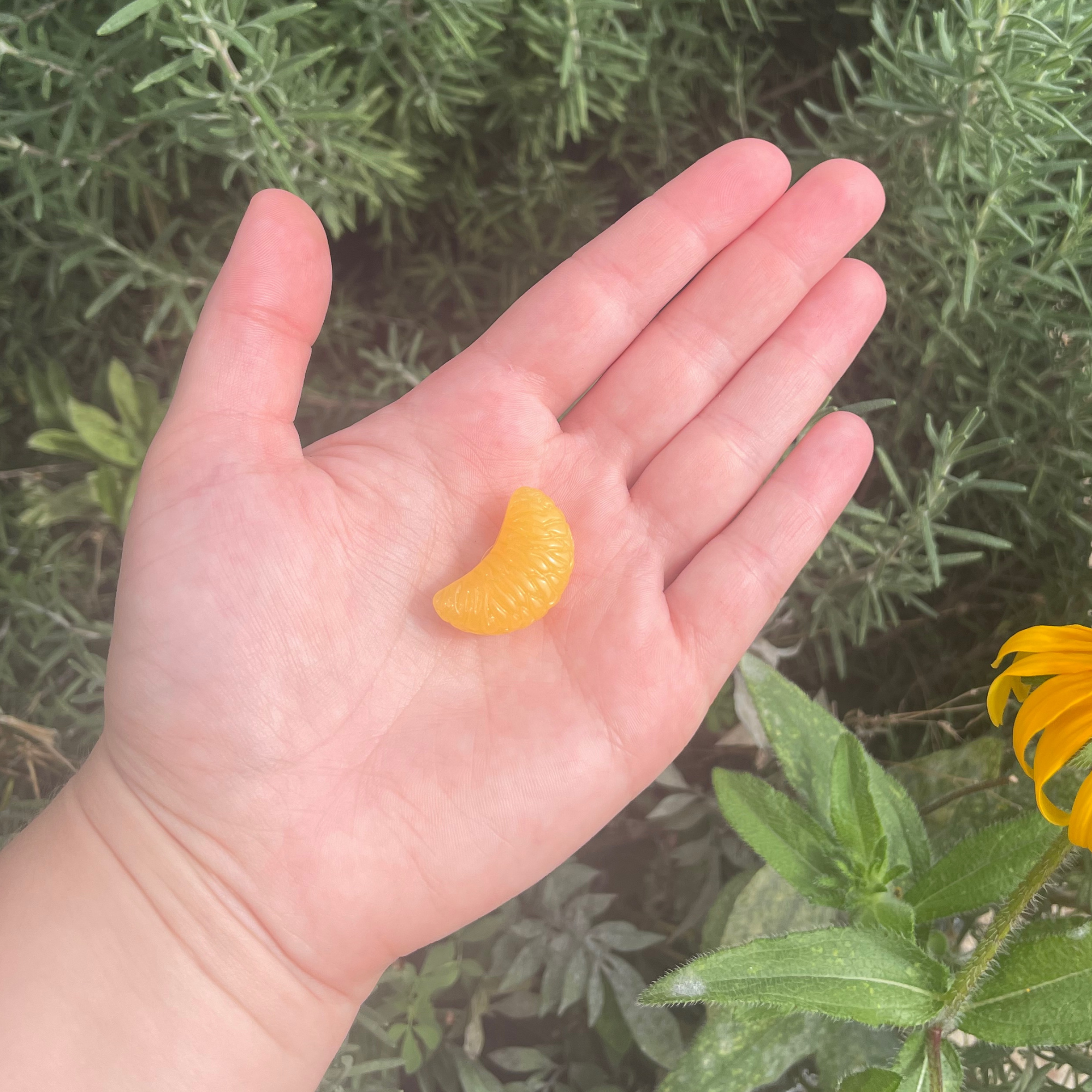 Mini Kitty Designs - Wholesale Shoe Accessories - Fruit Charms for Crocs1