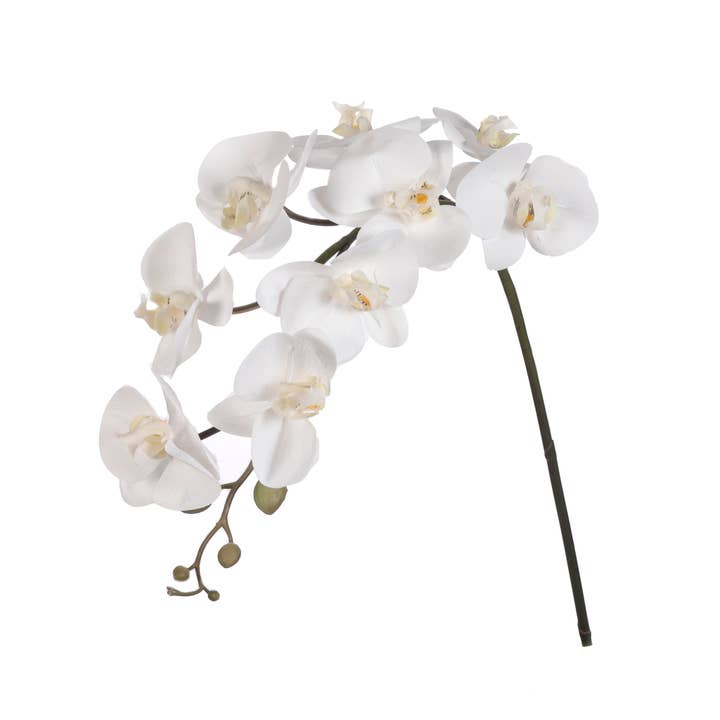 39"Real Touch Orchid White x 9 Flowers (12 Stems) for wholesale by JENNY SILKS