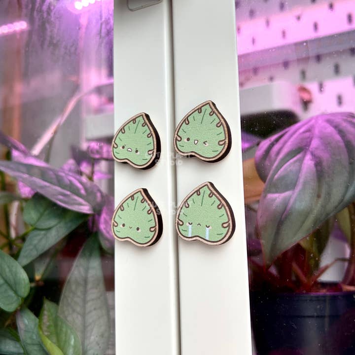 Set aus 4 klassischen Monstera-Holzmagneten für den Großhandel von Cute Plant Studio