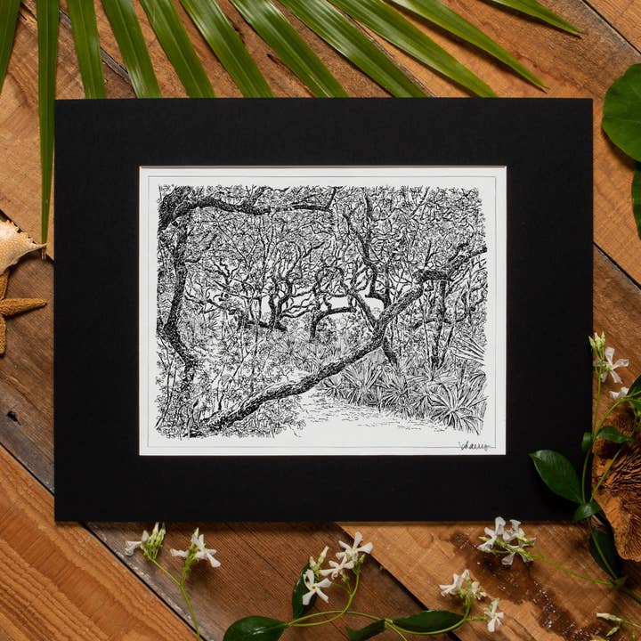 Live Oak Art - Art Print (Pen Drawing) for wholesale by bharris Art