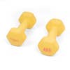 Myga - Wholesale Fitness Equipment - Pair Hex Dumbbell 1-10KG19