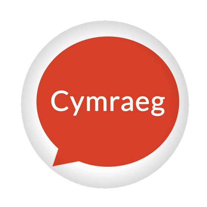 Badge / Pin - Cymraeg / Welsh Language Speaker for wholesale by The Welsh Gift Shop