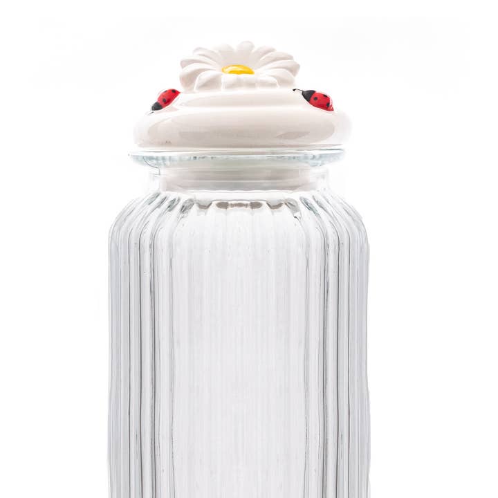 10 Strawberry Street - Wholesale Canister - Daisy Top Glass Canister 490