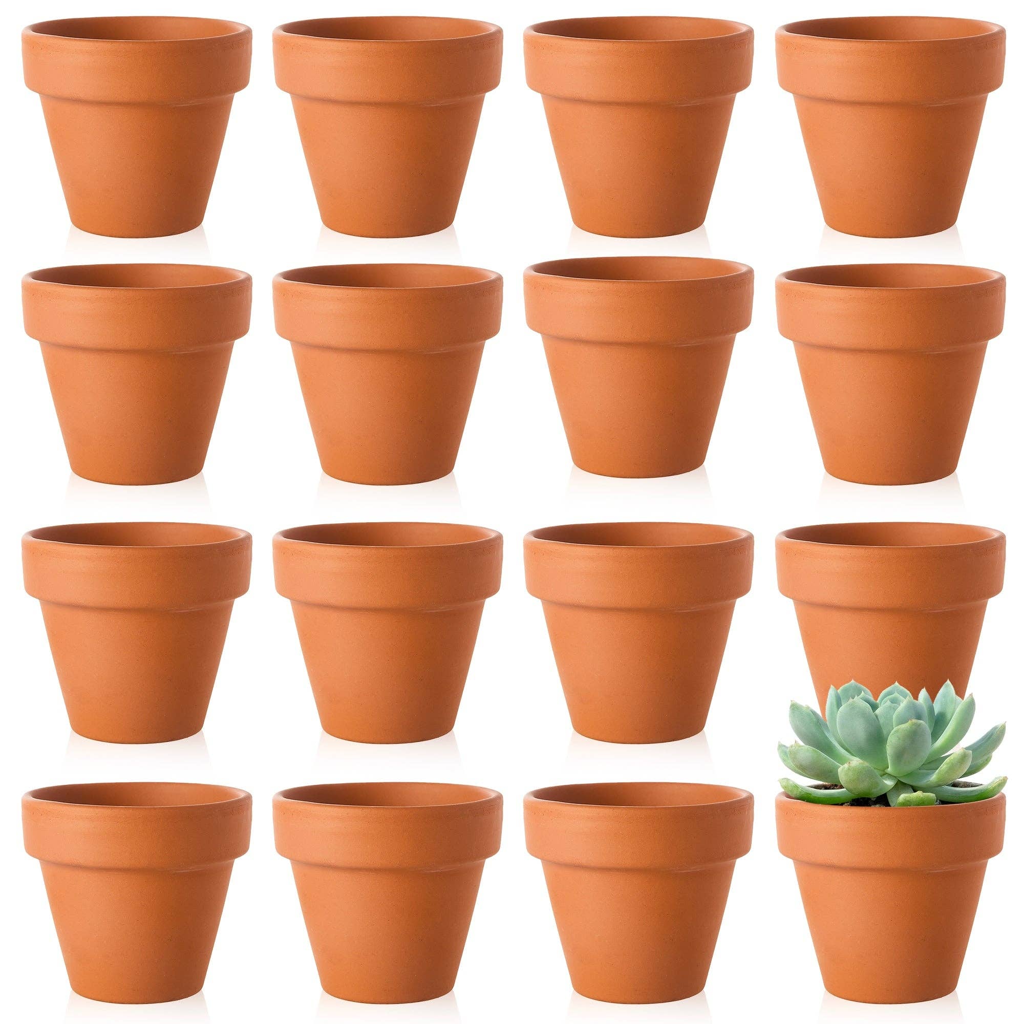 Jara Trading – wholesale Plant pot – Small Clay Terracotta Plant Pots - 16 Pack3