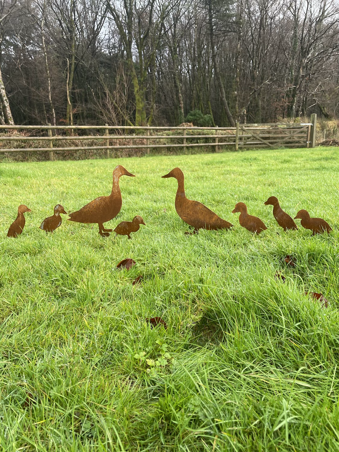 Beechwood Trinkets – wholesale Outdoor ornament/decor – Rustic Family of Ducks1