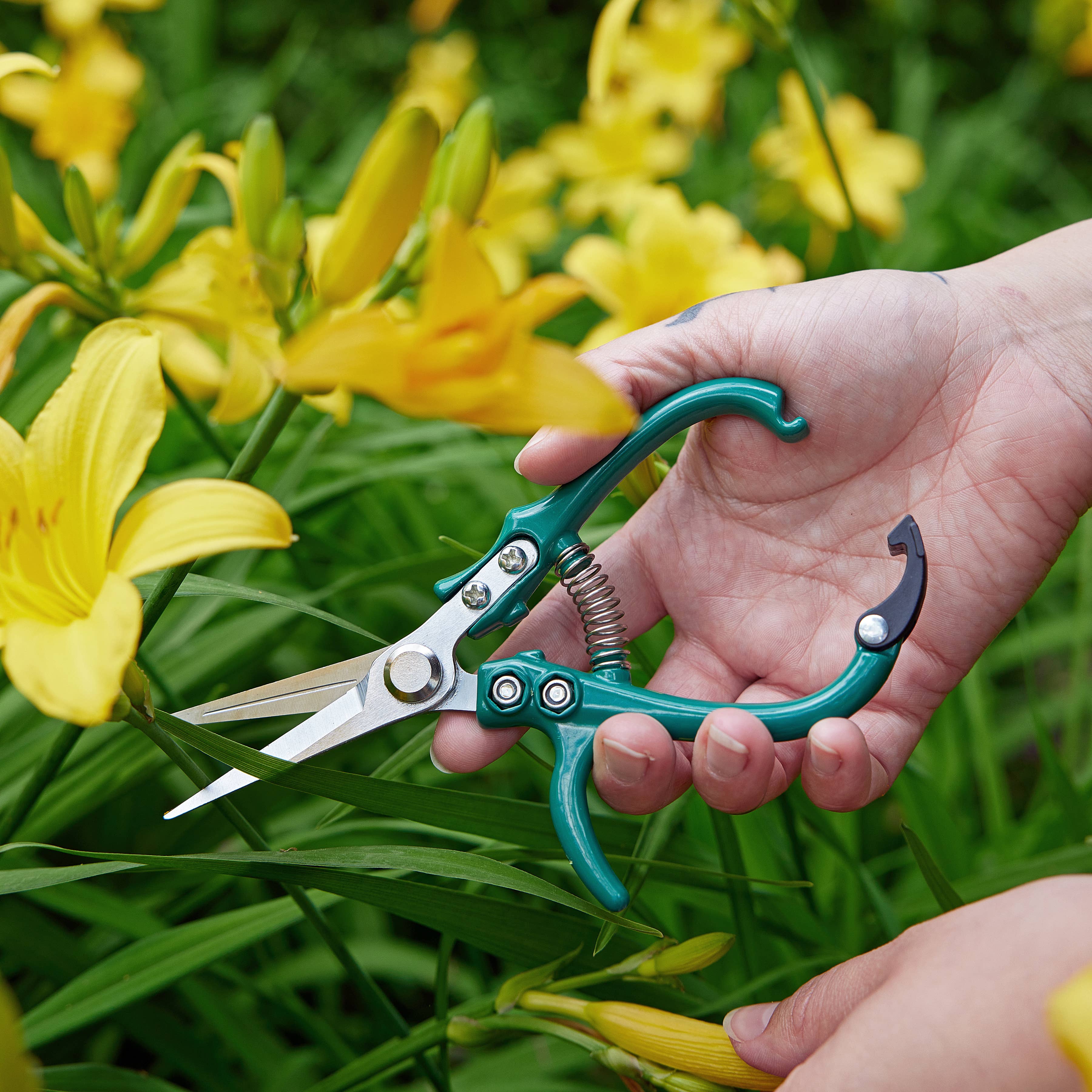 Modern Sprout - Wholesale Garden Tool - New Colors! Garden Shears 1