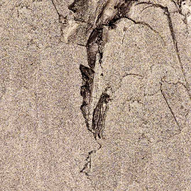 Palladio Beauty - Venta al por mayor Maquillaje de ojos - Barras de sombra de ojos2