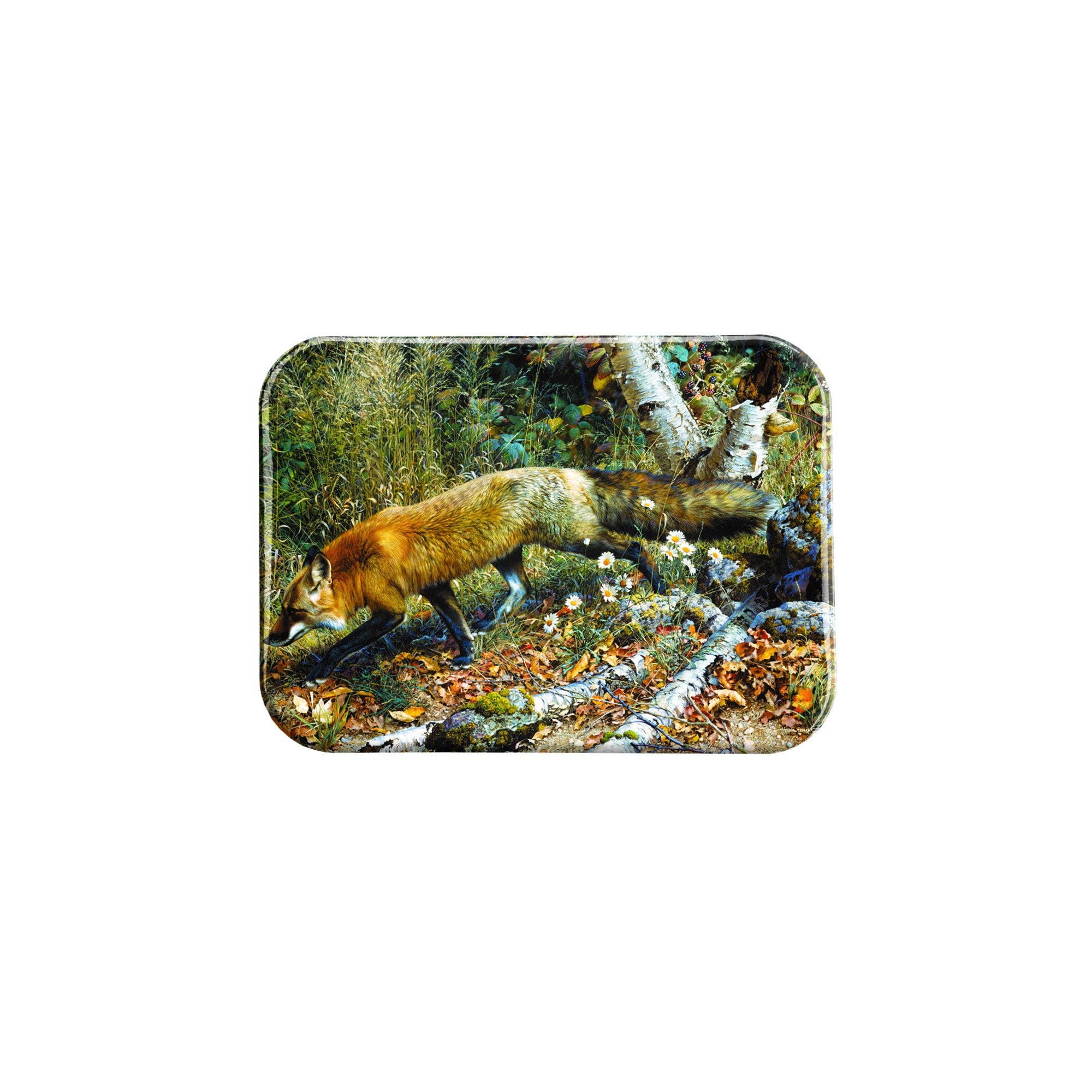 Airstrike - Wholesale Magnet - "Pathfinder" - 2.5" X 3.5" Rectangle Fridge Magnets0