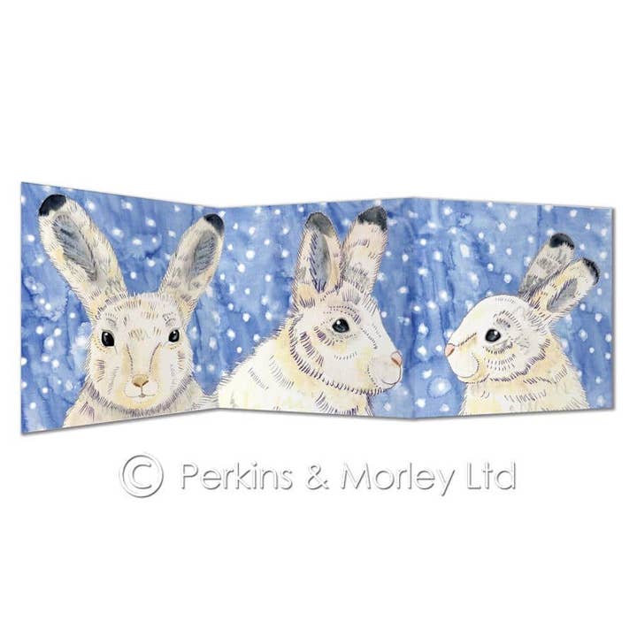 arctic hare card for wholesale by Perkins & Morley