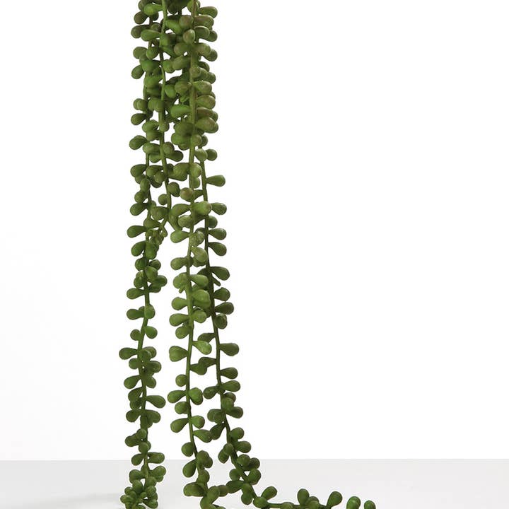 Filial Deco Senecio/5hang. verde VE 12 por atacado de Gilde Handwerk Macrander GmbH & Co. KG