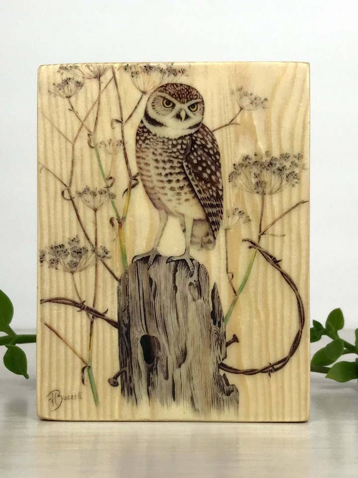 Houten paneel van gravende uil, opdruk van gravend uilenhout voor wholesale door Streetlightbirds