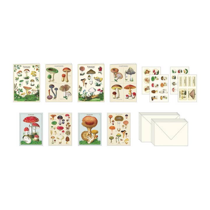 Bobangles - Wholesale Stationery/notecard set - Cavallini Stationery Set - Mushrooms1