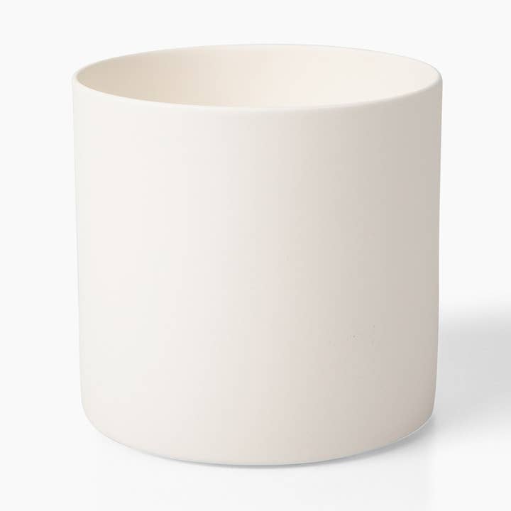 The Bone China Cup for wholesale by Glasvin