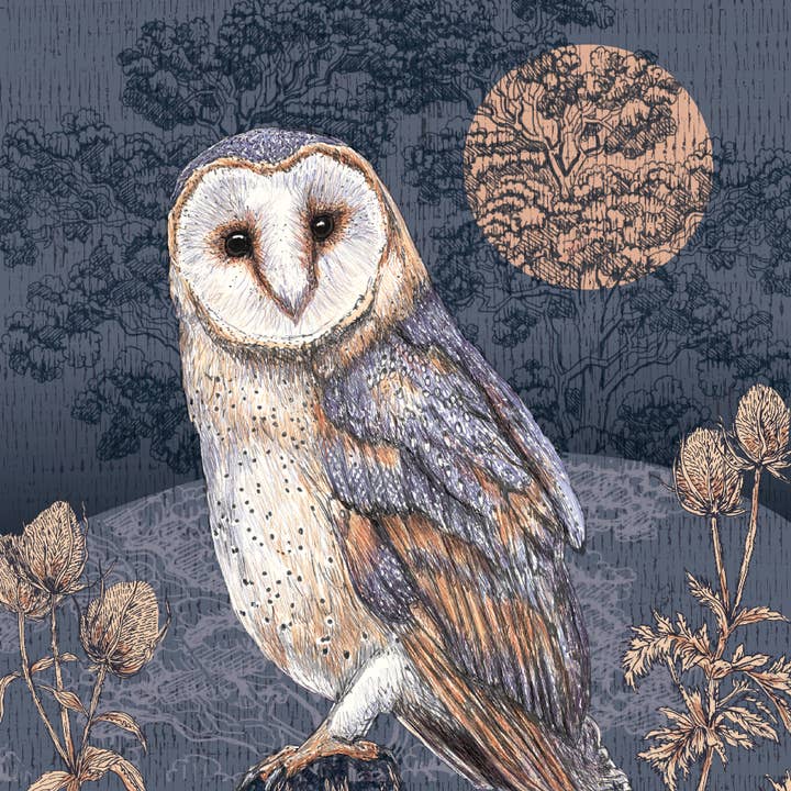 Helen Briggs Design – wholesale Everyday greeting card – Barn Owl Greeting Card2