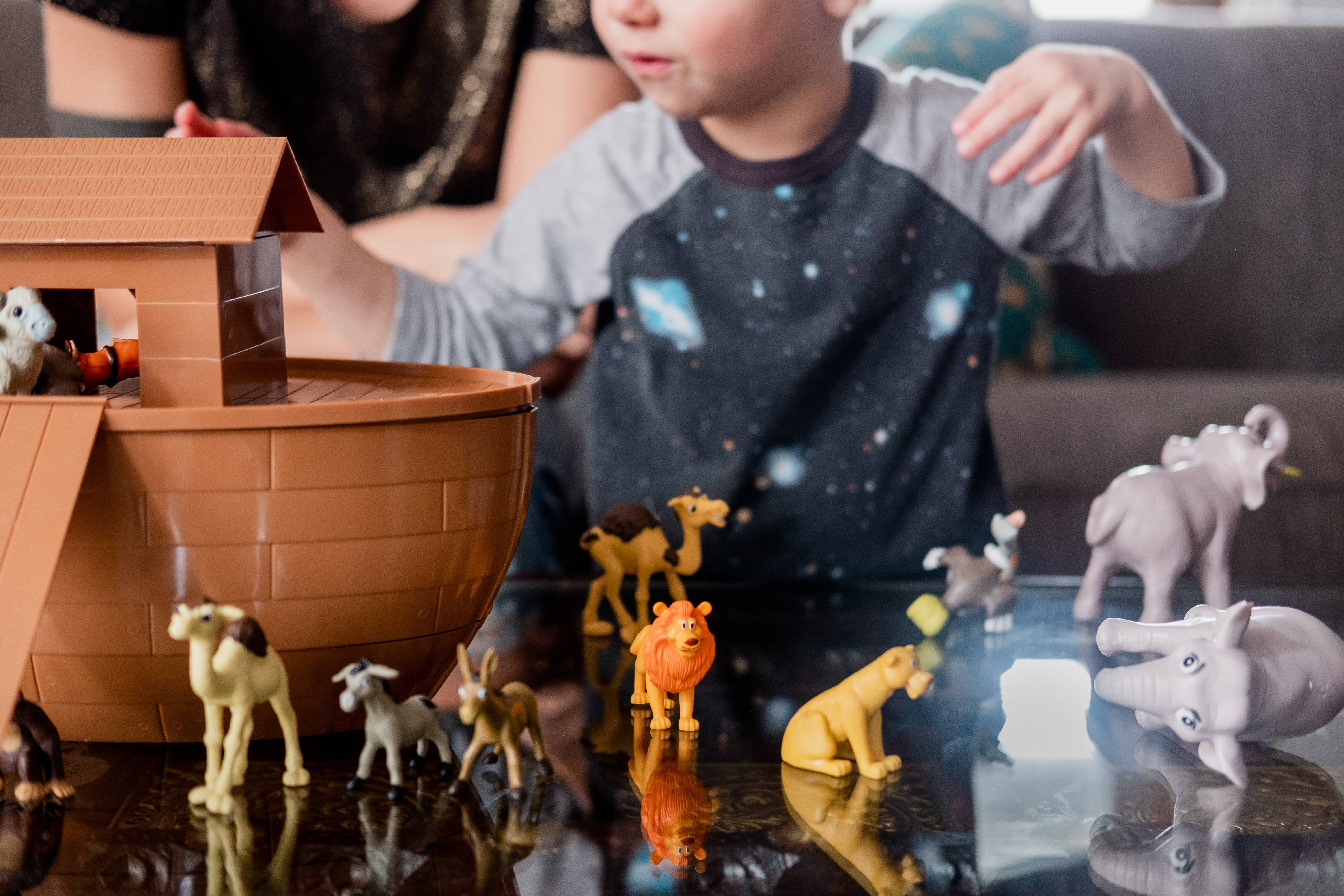 Cactus Game Design - Wholesale Toy Set - Kids - Noah's Ark Playset for Children2