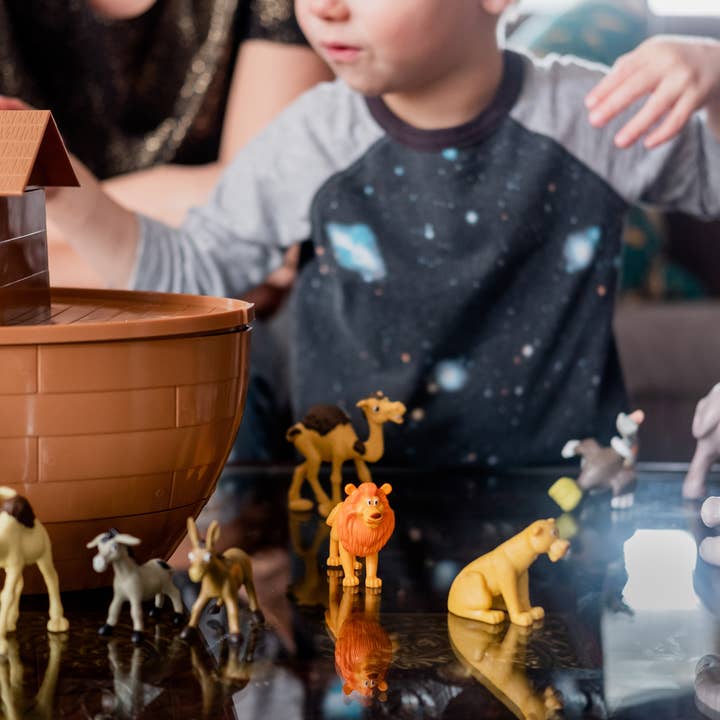 Cactus Game Design - Wholesale Toy Set - Kids - Noah's Ark Playset for Children2