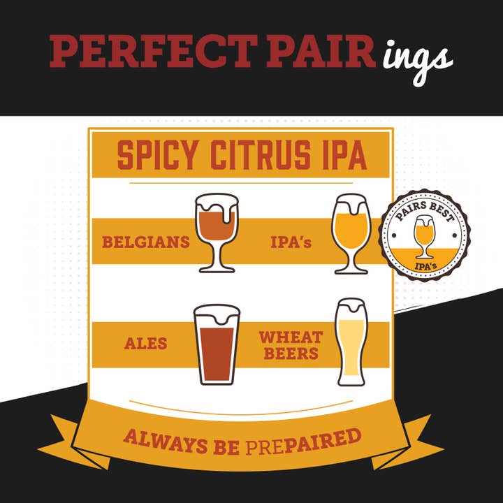 Boozy Jerky - Wholesale Jerky - Spicy Citrus IPA Beef Jerky4