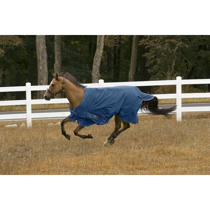JPC Equestrian - Wholesale Horseback Riding Gear - Tuffrider 1200 D Comfy Winter Blanket Medium Weight 200 gms