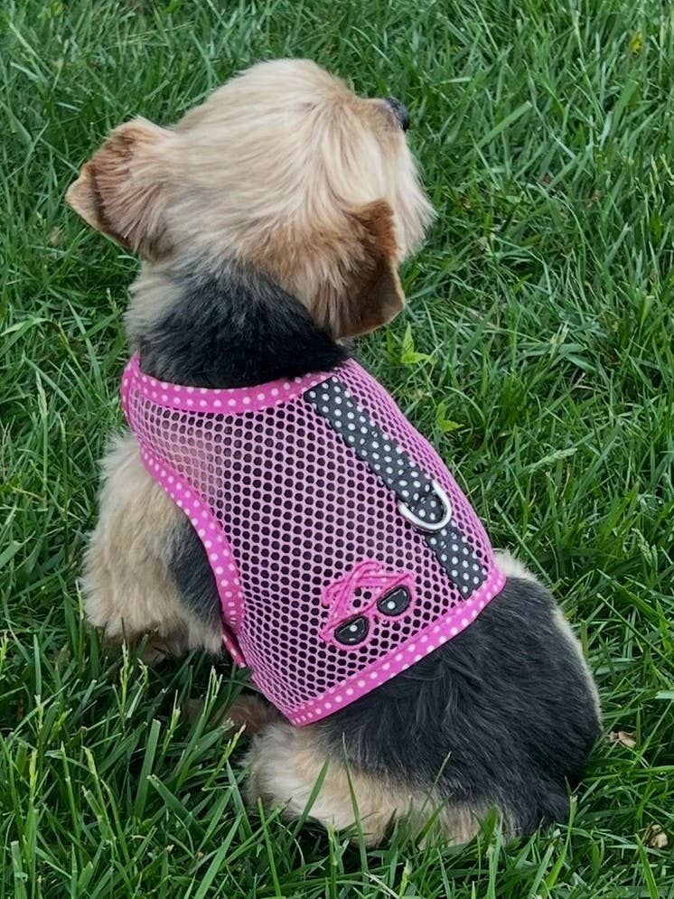 Doggie Design – wholesale Pet harness – Dog – Cool Mesh Dog Harness - Sunglasses Pink & Black Polka Dot3