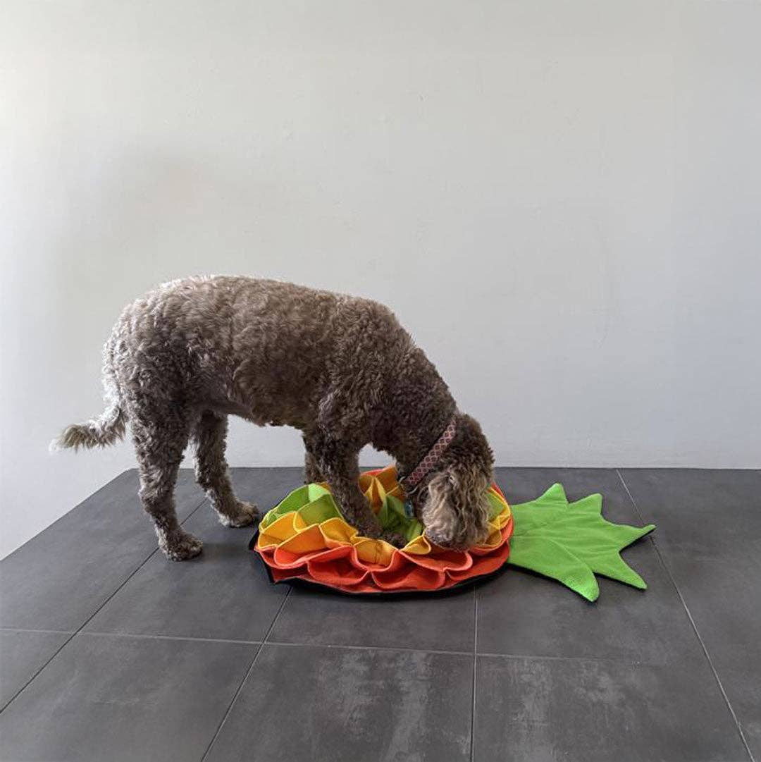 Stylish Hound – wholesale Matmatta för husdjur – Hund – Ananas Avancerad Snuffelmatta5