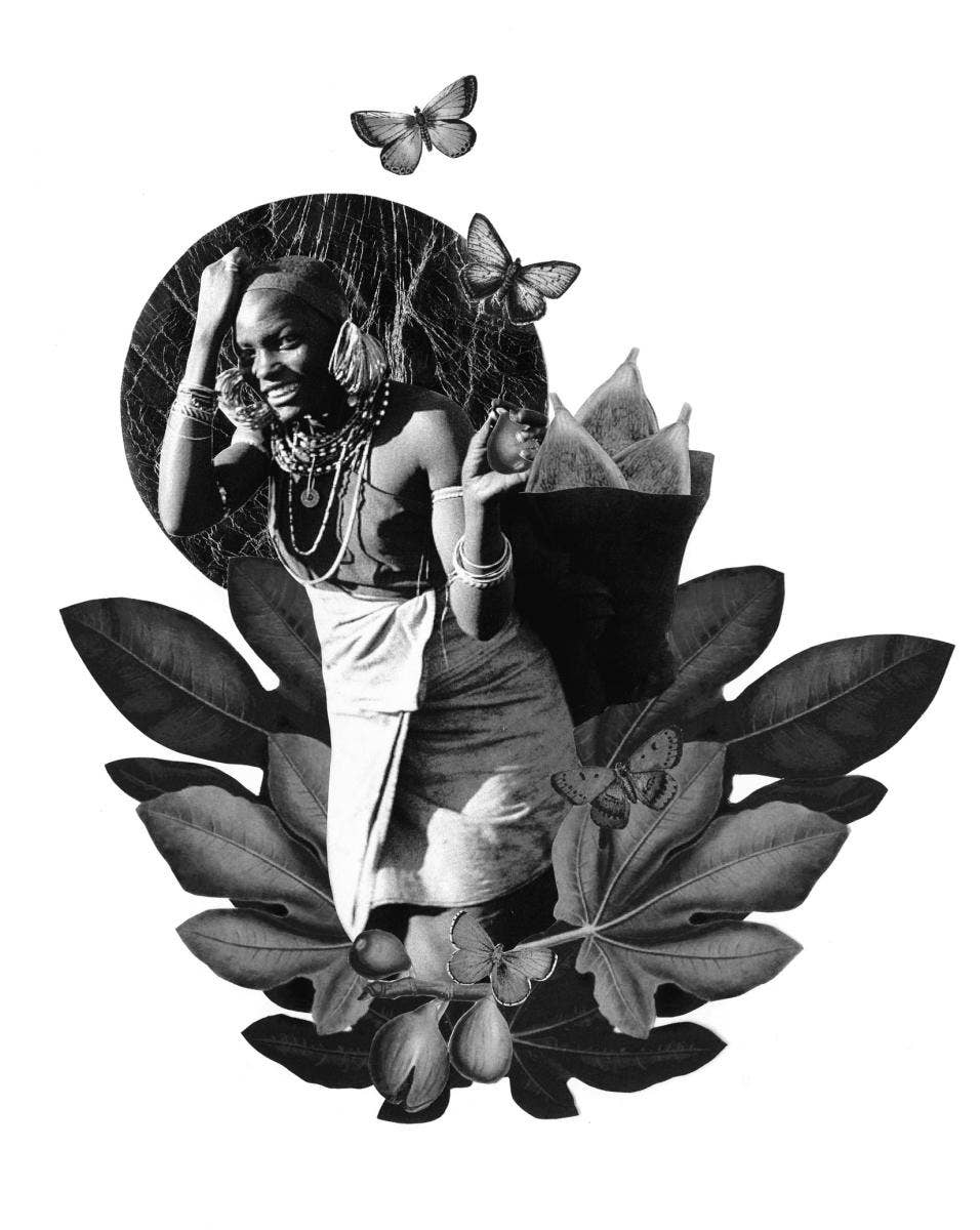 Microcosm Publishing & Distribution - Wholesale Nature & Outdoors Book - The Encyclopedia of Rootical Folklore5