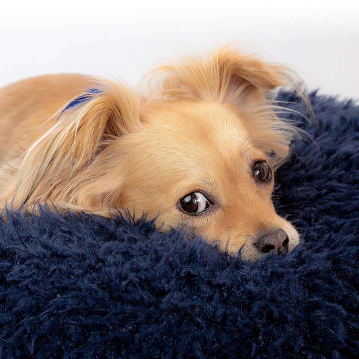 MODERNBEAST - Wholesale Pet bed – Cat/dog - MB POD BED (Options Available)6