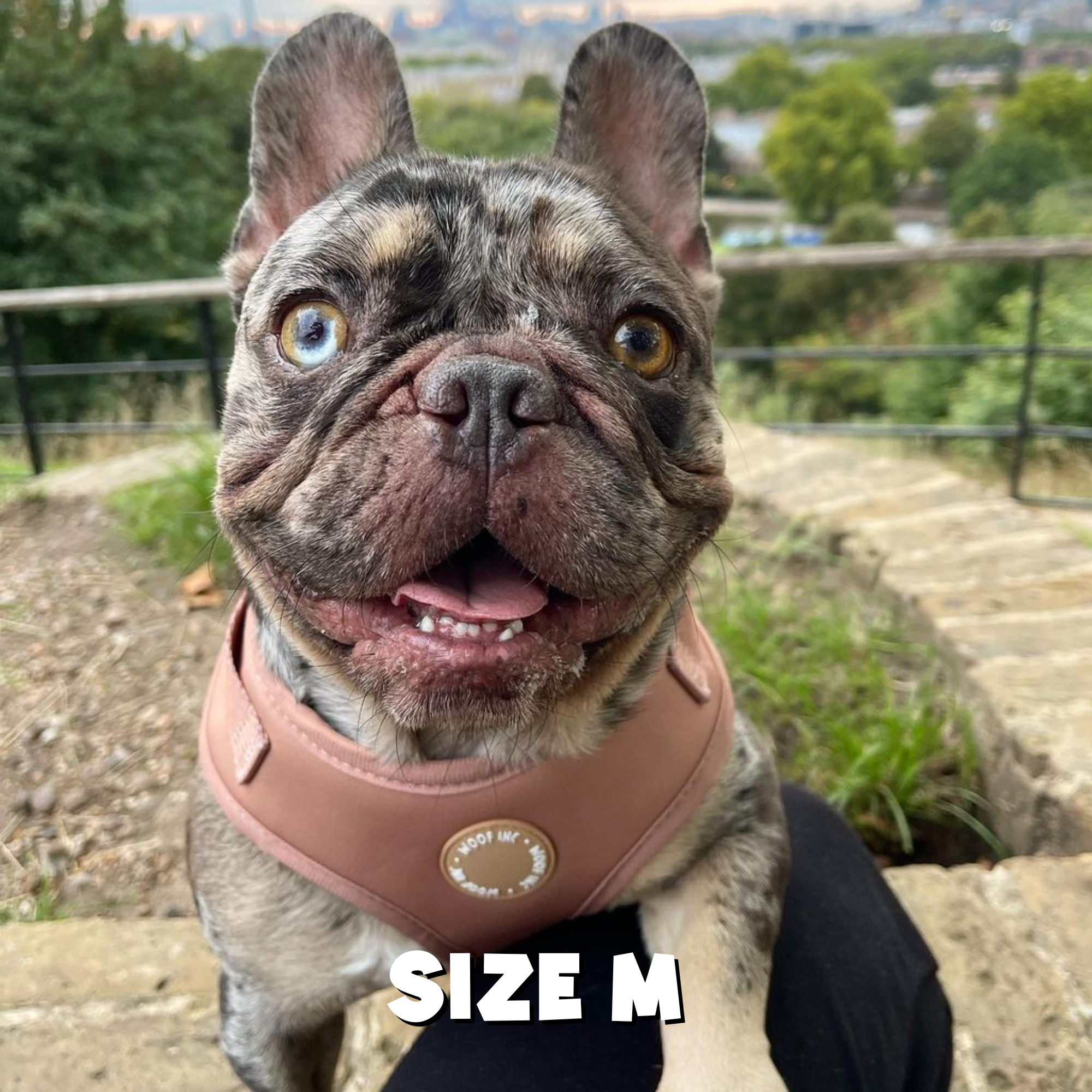 WOOF INC - Wholesale Pet Harness - Dog - Caramel Adjustable Dog Harness7