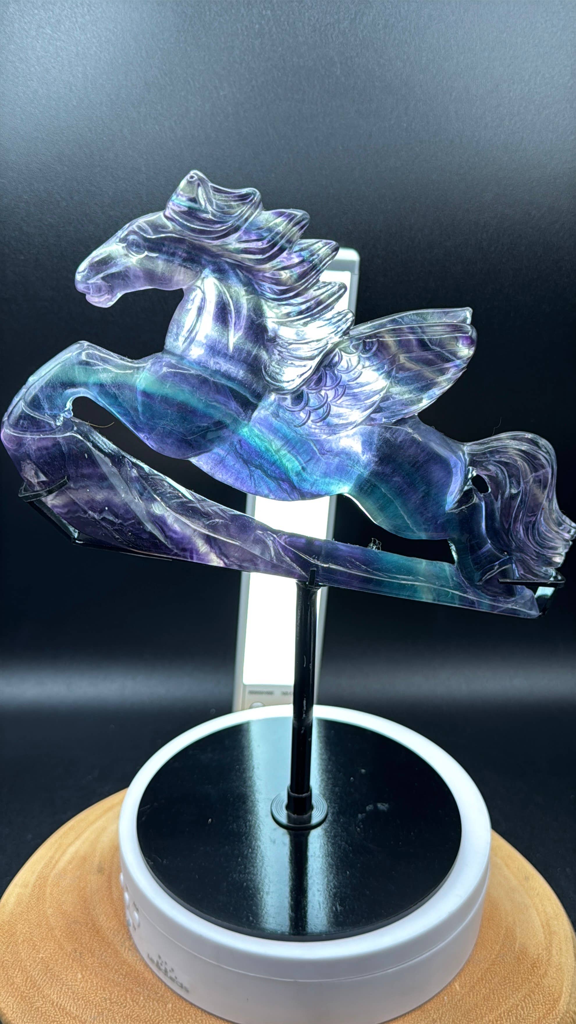 The 7 Directions - Wholesale Spiritual Stone/Crystal - Exquisite Rainbow fluorite Flying horse Pegasus H20817