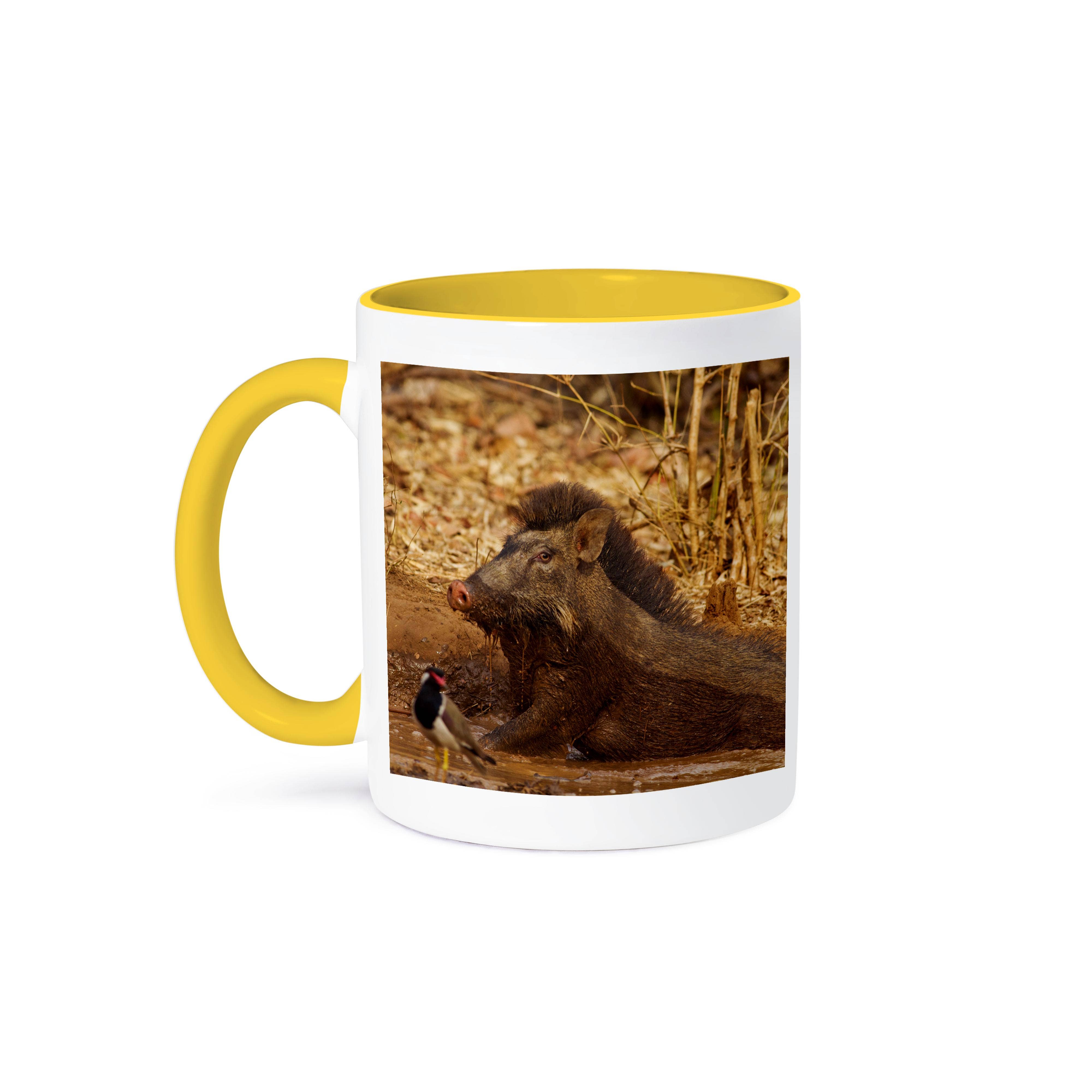 3dRose - Wholesale Coffee Mug - 3dRose, Wild Boar, Tadoba Andheri Tiger Reserve, TATR., Mug0