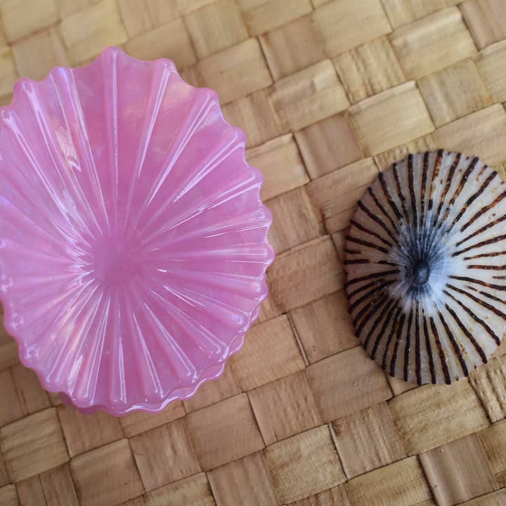 Revel Sun Hawai'i - Wholesale Hair Clip - Women's - 'Opihi Shell Shaped Claw Clip2