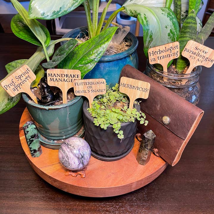 Potter-samlingen for engroshandel hos Crafts At Stake