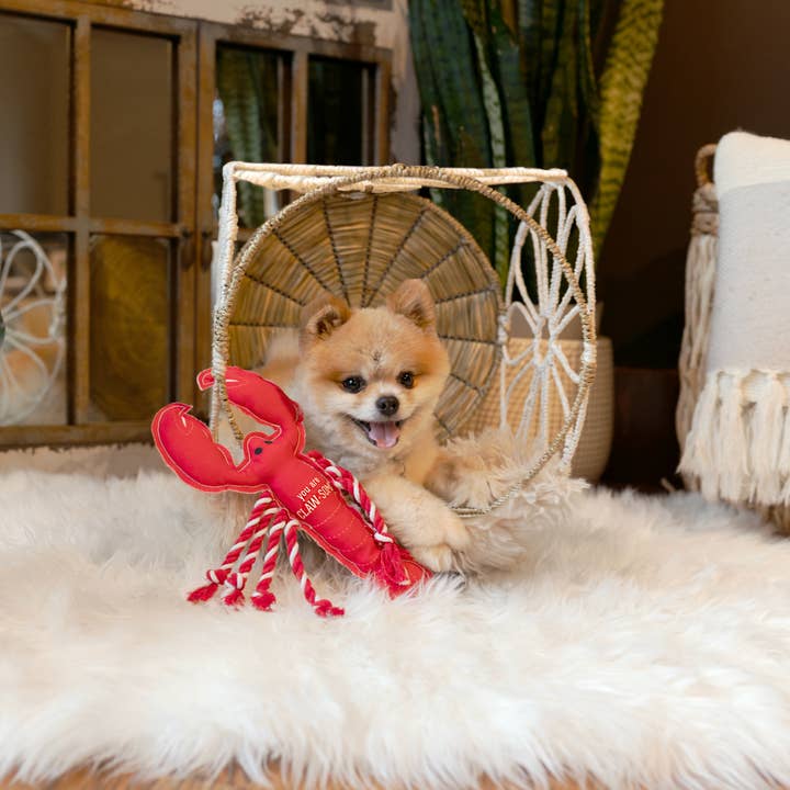 Pavilion - Wholesale Pet Rope Toy - Dog - Claw-some - 12" Canvas Dog Toy with Rope2