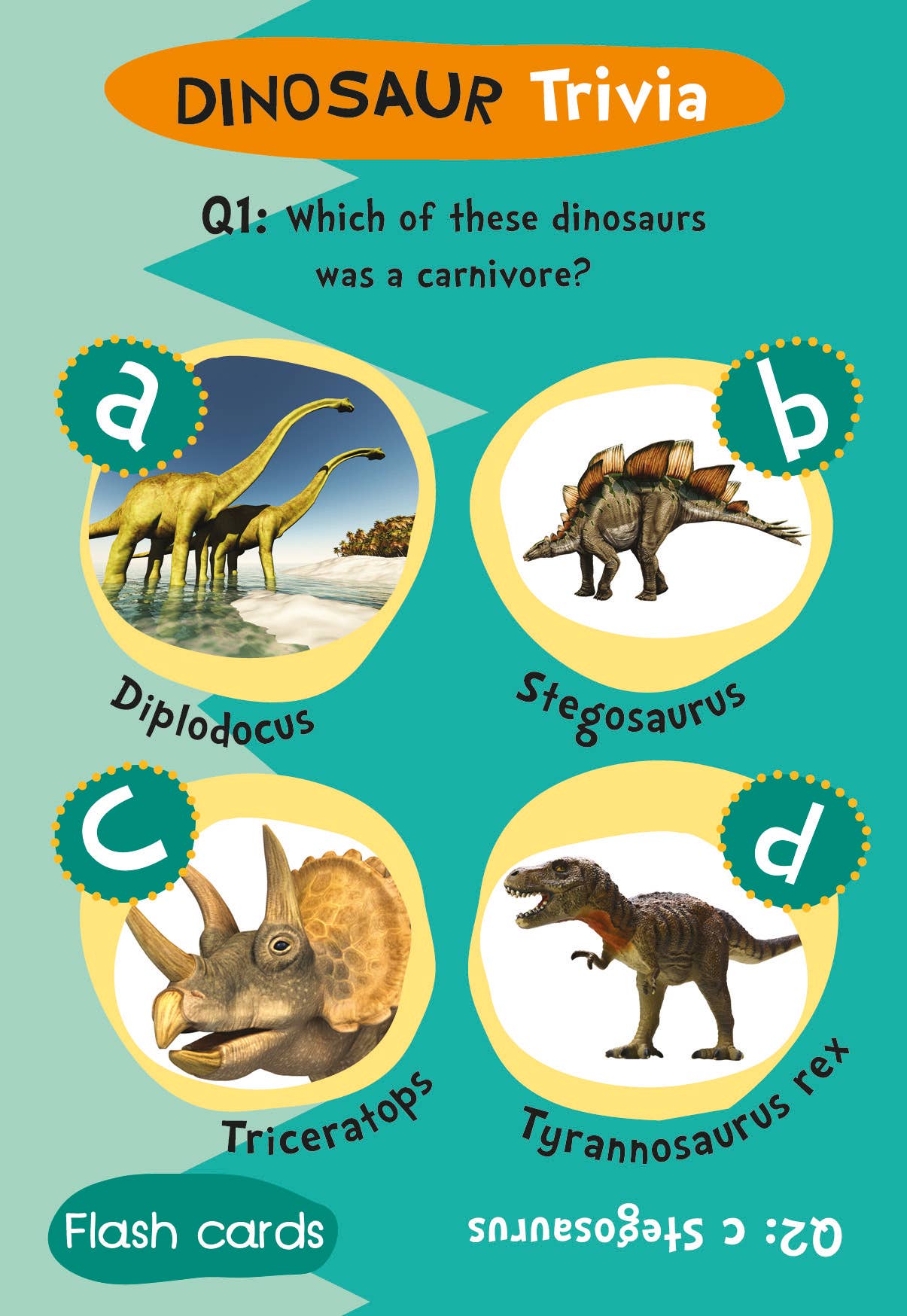 Robert Frederick Ltd – wholesale Learning cards – Child & baby – Flash Cards - Dinosaur Trivia2