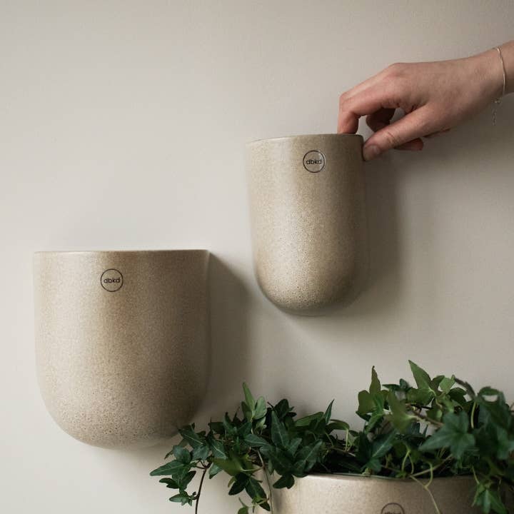 COUPE Moyenne - beige pour la vente par DBKD