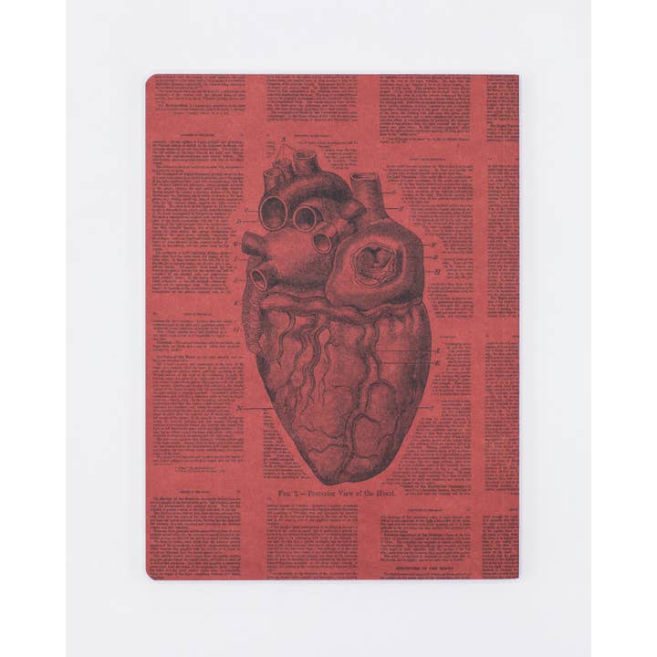 Cognitive Surplus - Wholesale Notebook - Anatomical Heart Softcover Notebook Lined (Case of 6)
