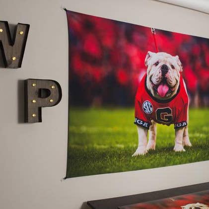 Georgia Bulldogs Uga X Mascot XXL Väggkonstväv - UGA Gifts & Tailgating för wholesale av Wright Photo