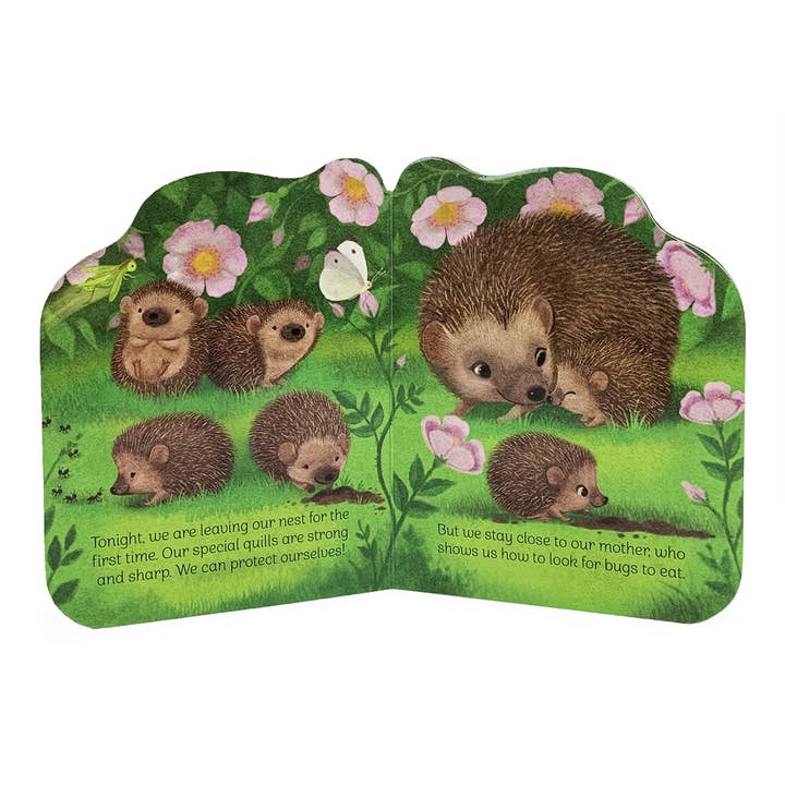 Cottage Door Press - Wholesale Baby & Toddler Book (0-2) - A Little Hedgehog Shaped Board Book1
