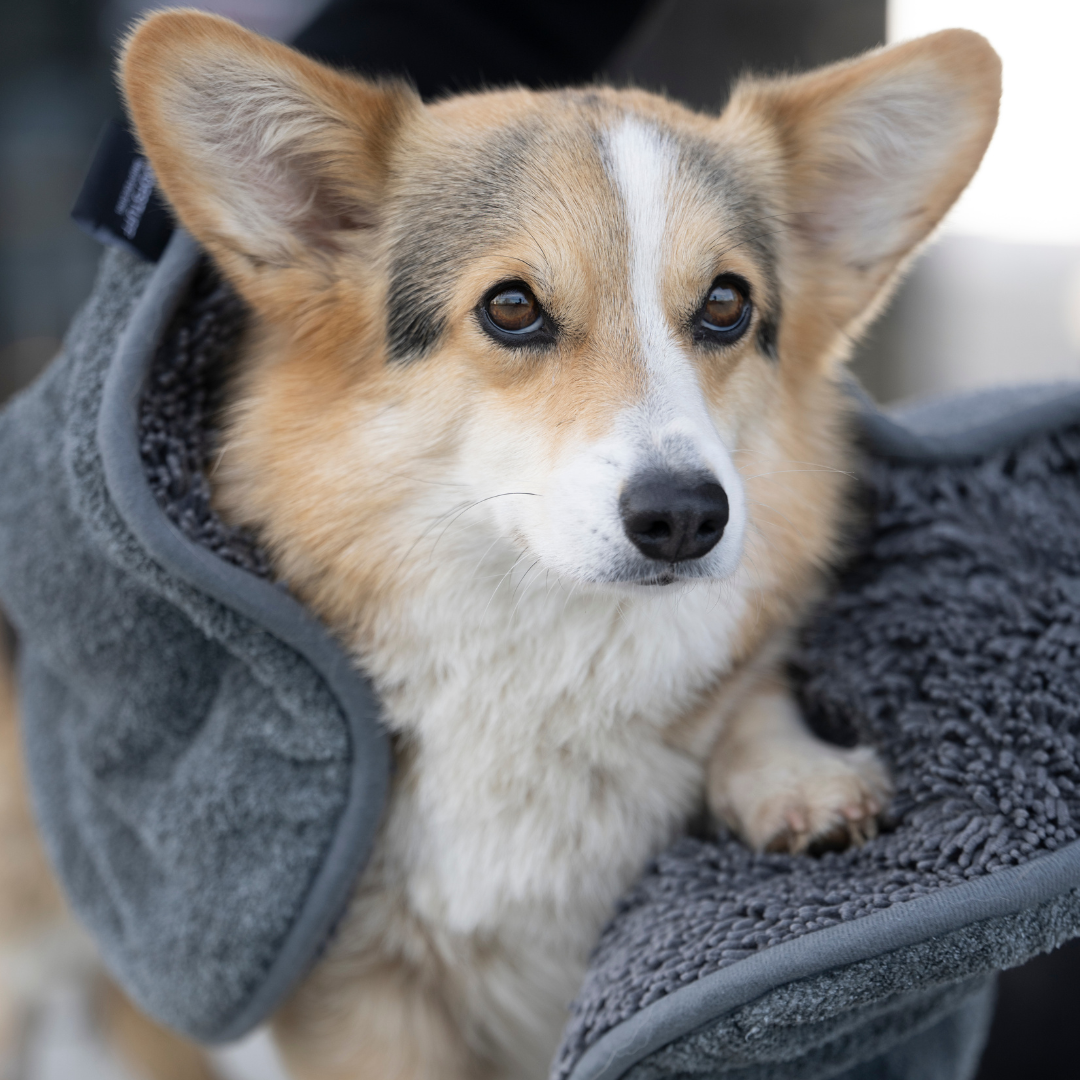 Woofstuff - Shop for dogs - Wholesale Pet Towel - Dog - Ultra Dry Comfort Dog Towel Graphite4