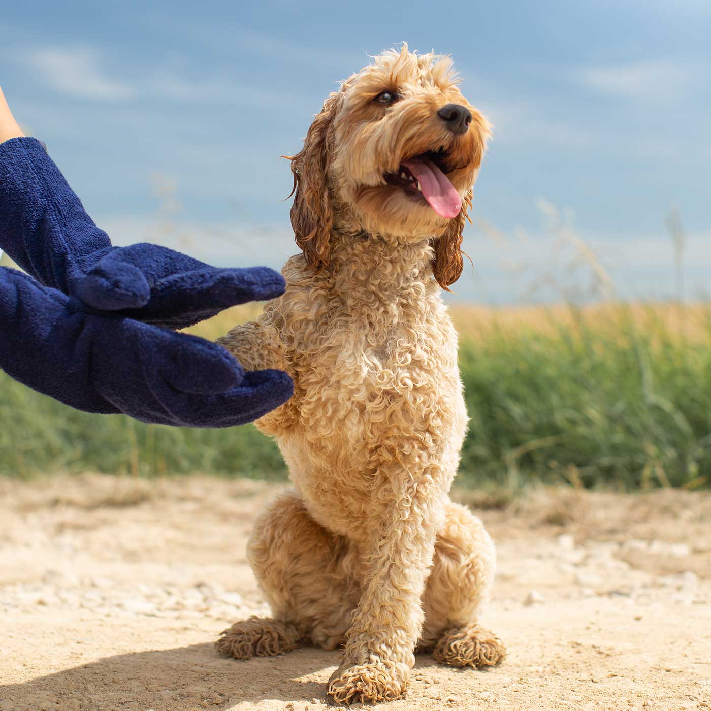Marina Manoplas de secado de bambú en azul marino de Lords & Labradors de venta al por mayor en Faire7
