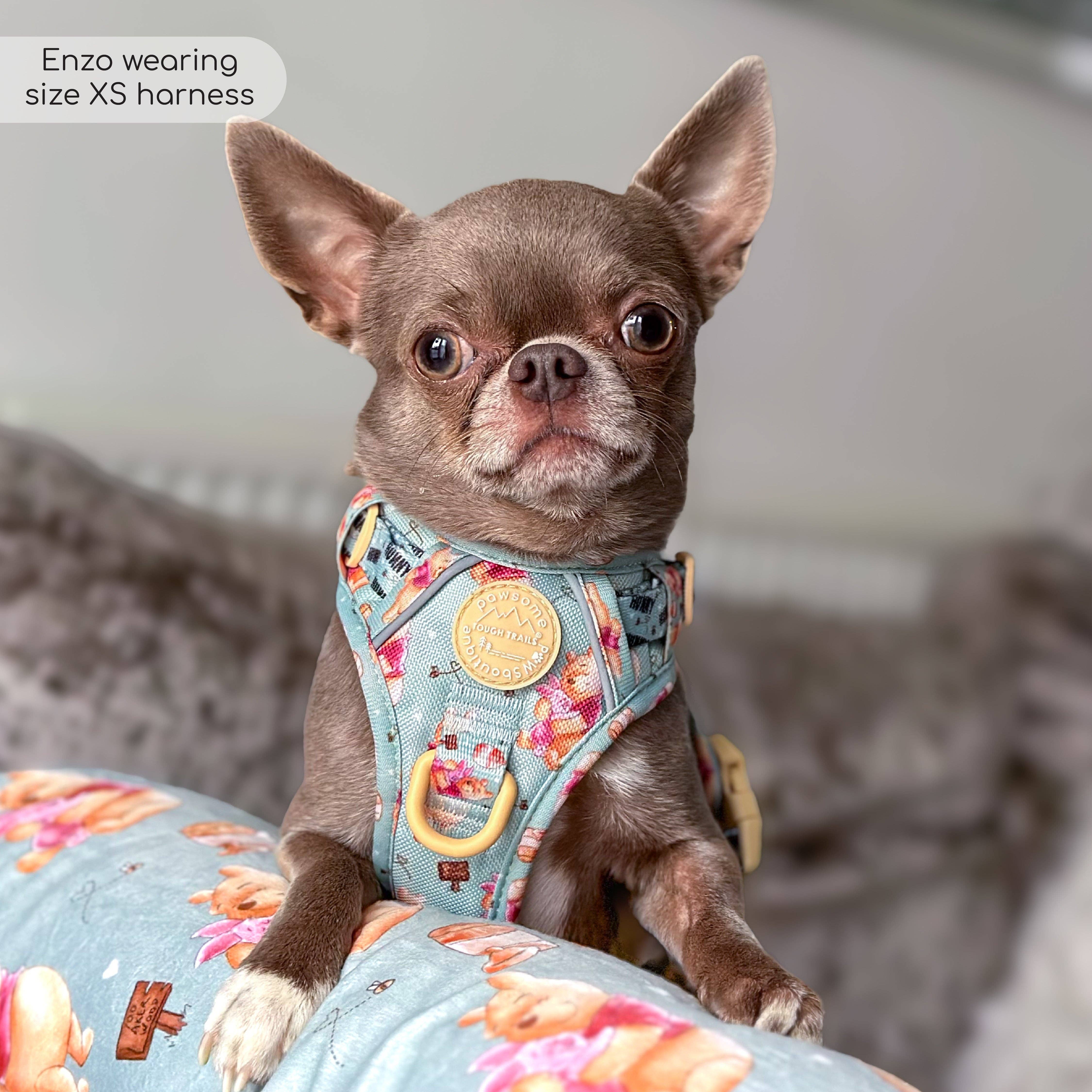 Pawsome Paws – Großhandel Haustiergeschirr – Hund – Disney© Tough Trails™ Geschirr – Winnie Puuh37