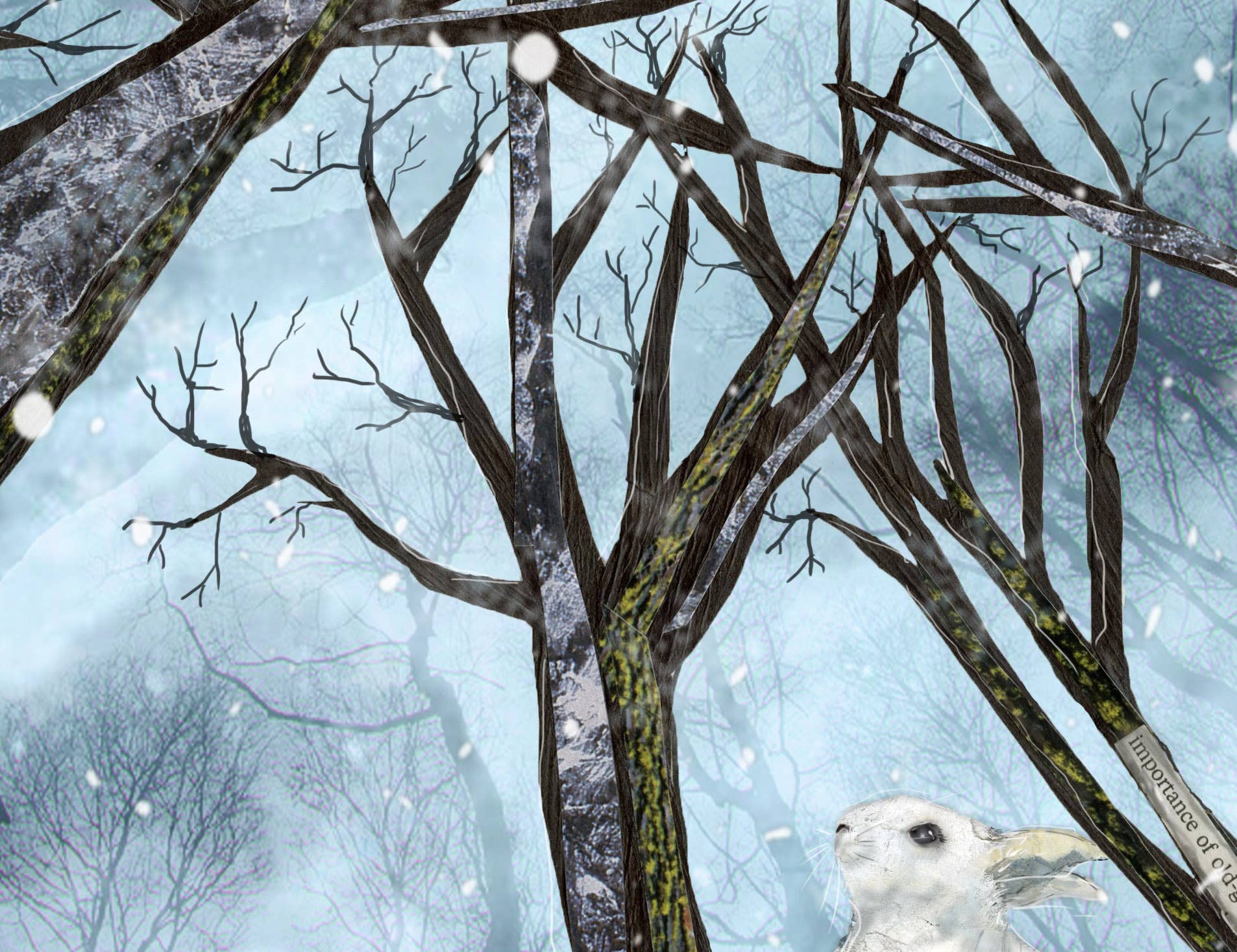 Found & Rewound - Wholesale Everyday Greeting Card - Snowfall - greeting card2