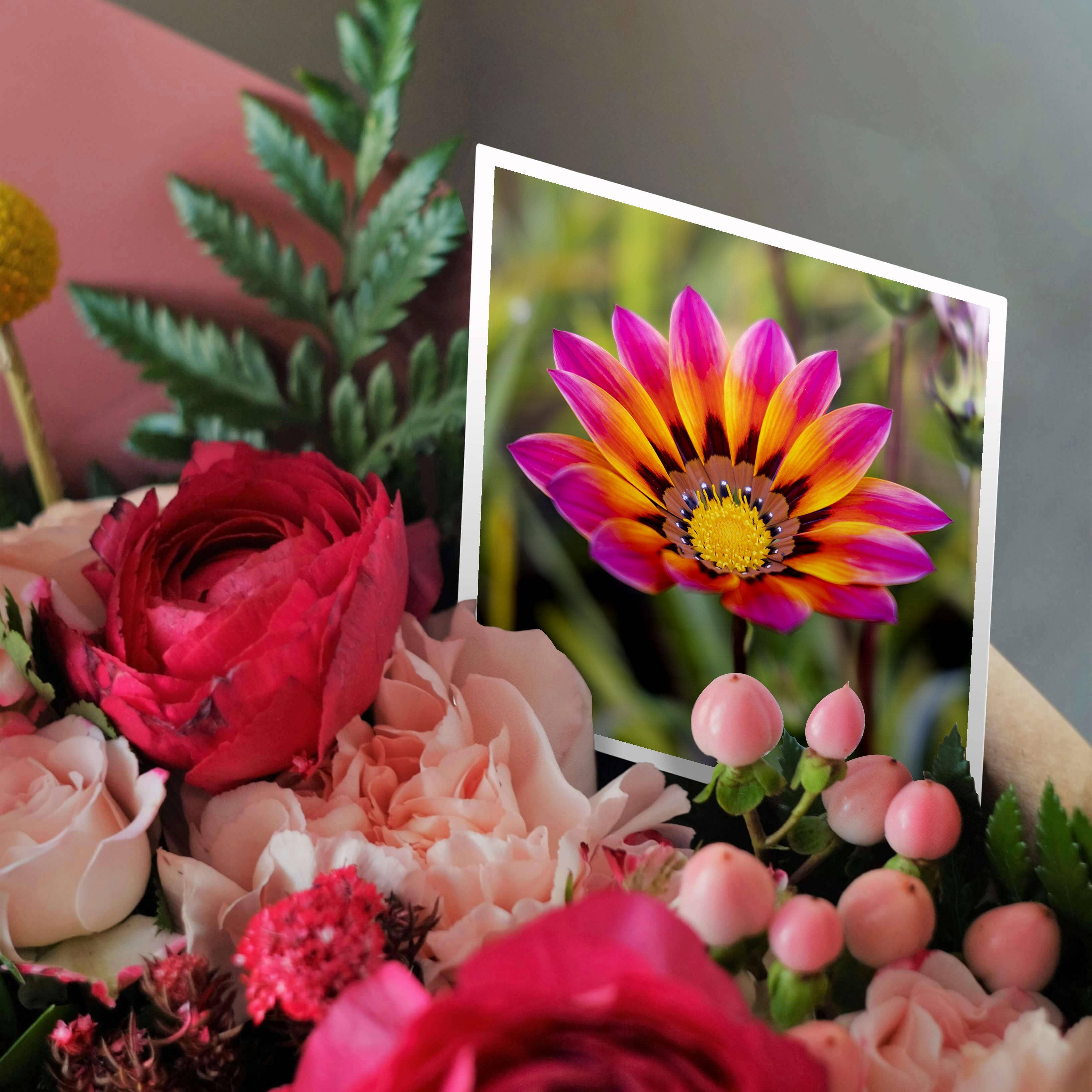 3dRose - Wholesale Everyday Greeting Card - 3dRose, Portugal, Calvaria de Cima. Wildflowers growing., Greeting Card2