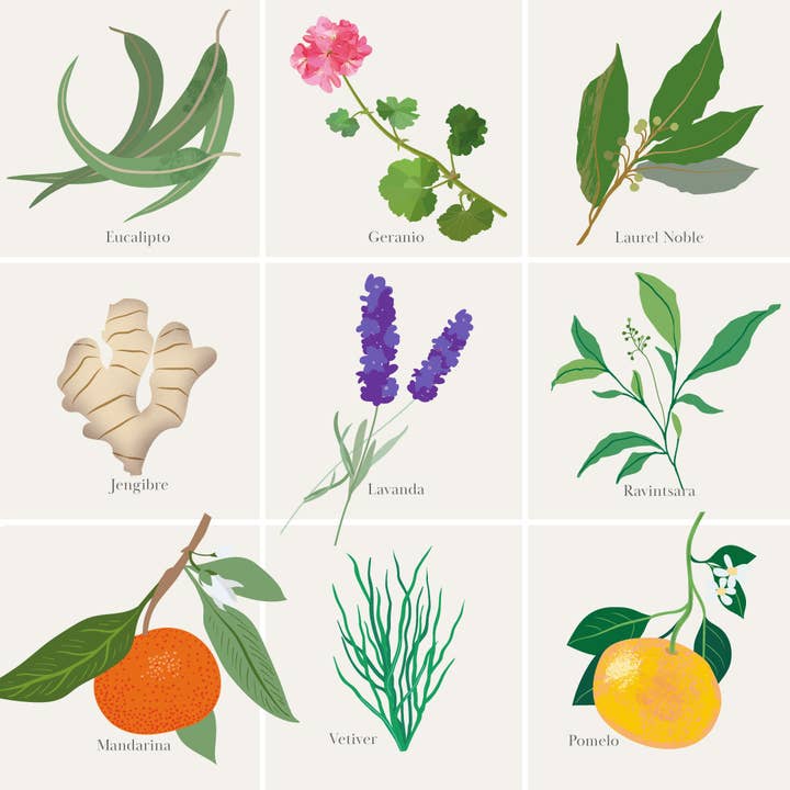 ÖL NICHT IM KATALOG ENTHALTEN für den Großhandel von THE LITTLE GREEN BOTTLE