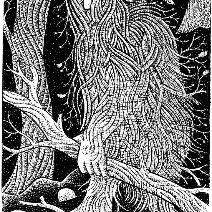 National Book Network - Wholesale Book - Adult - Spooky Christmas and Other Haunted Holidays