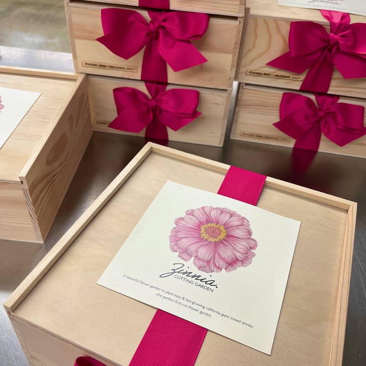 Potting Shed Creations, Ltd. - Wholesale Plant Seeds - NEW Flower Cutting Garden Box | Mixed Zinnia 10